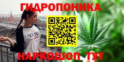 мдпв Лесосибирск