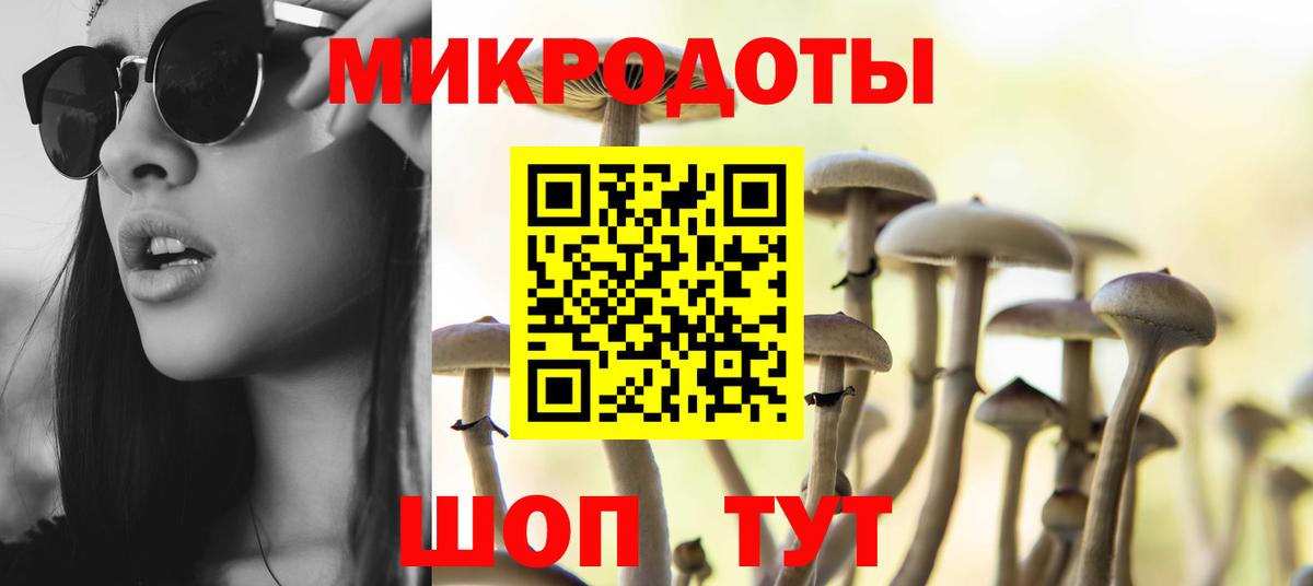 Топки  Псилоцибиновые грибы GOLDEN TEACHER  Галлюциногенные грибы GOLDEN TEACHER  Вход с VPN 