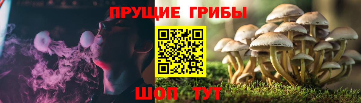 Псилоцибиновые грибы Psilocybine cubensis Топки