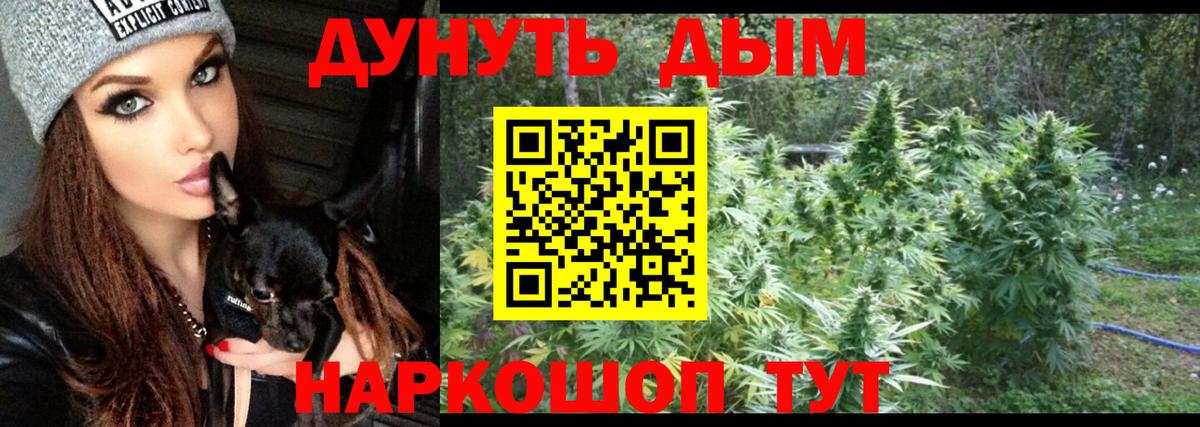 Канабис Ganja  Марихуана план  Бошки марихуана индика  Шишки марихуана конопля  Топки  Вход с VPN 